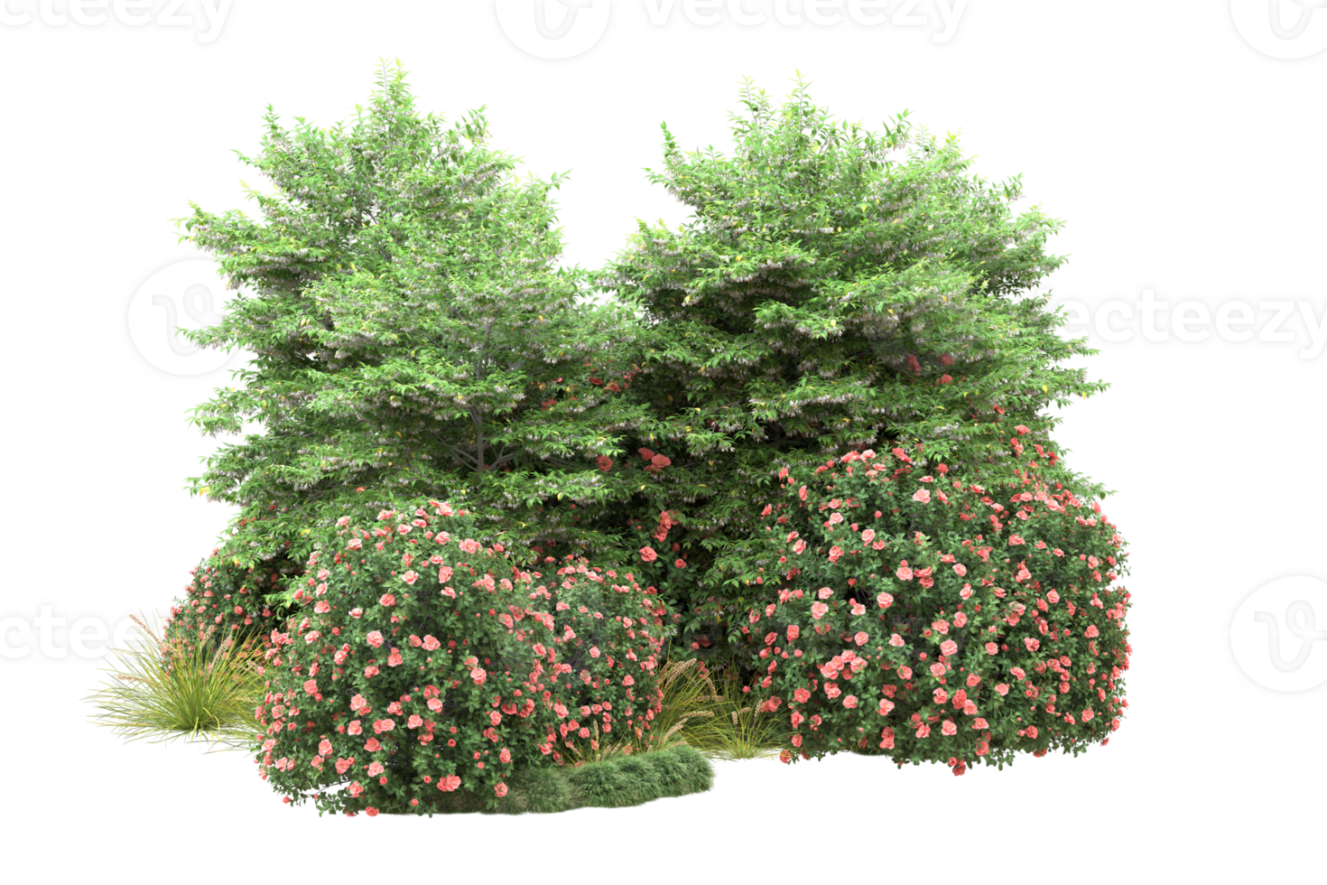 Realistic forest isolated on transparent background. 3d rendering - illustration png