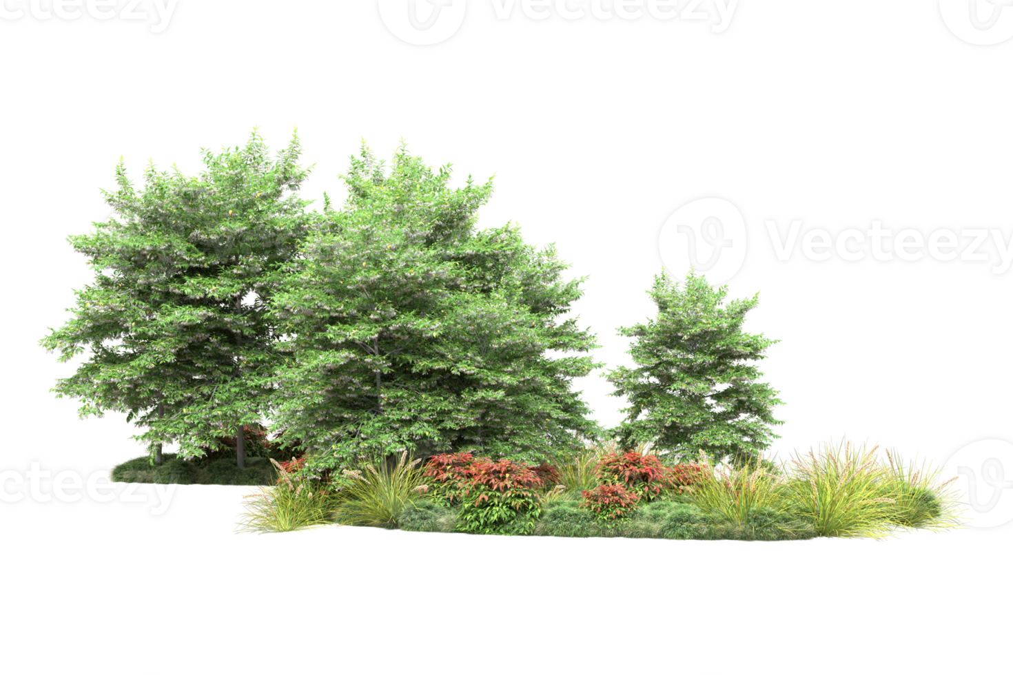 Realistic forest isolated on transparent background. 3d rendering - illustration png