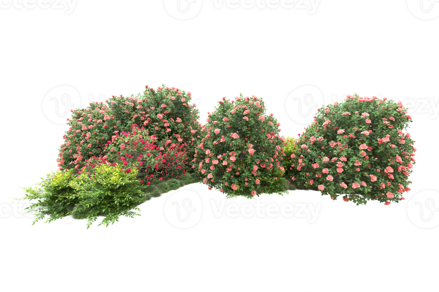 Realistic forest isolated on transparent background. 3d rendering - illustration png