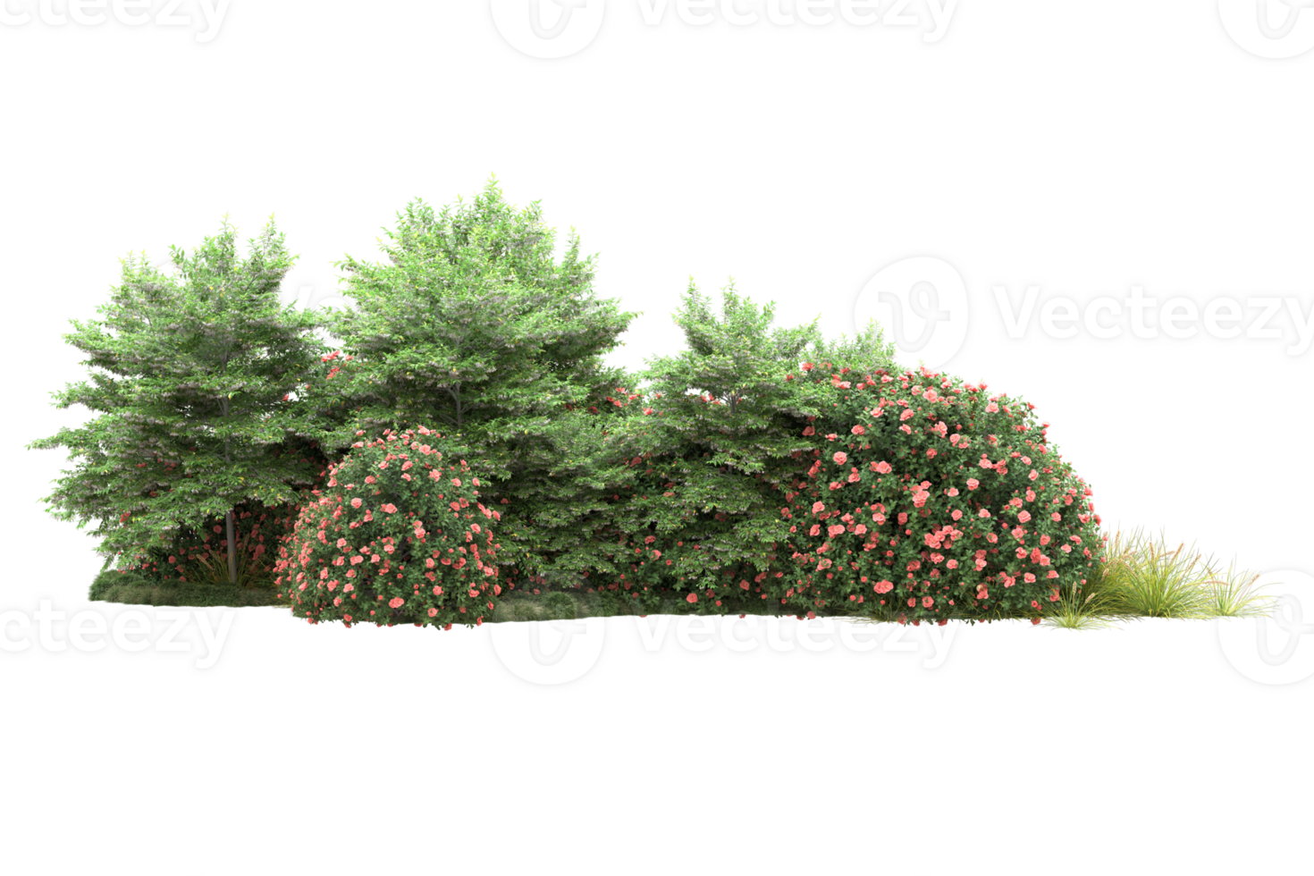Realistic forest isolated on transparent background. 3d rendering - illustration png