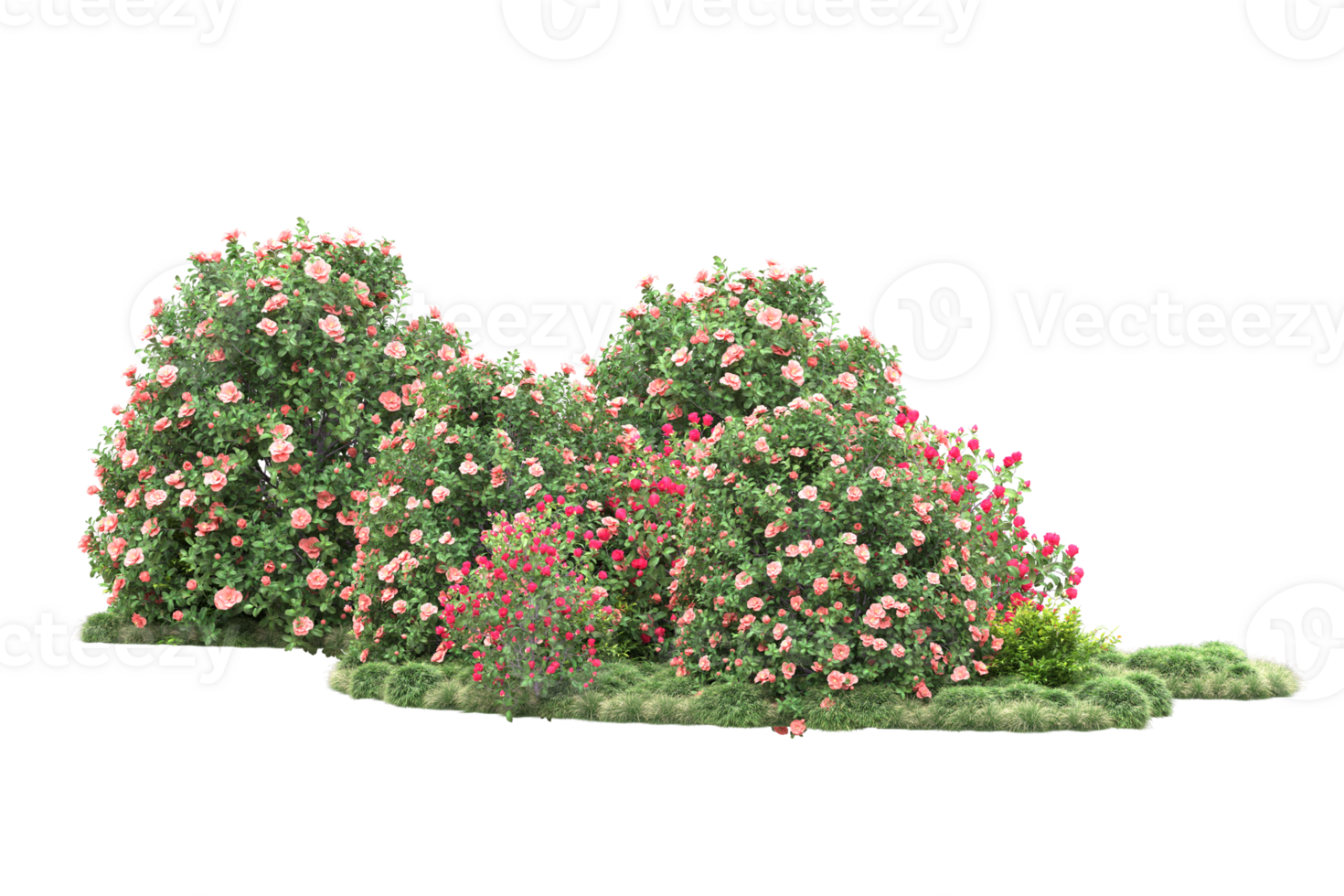 Realistic forest isolated on transparent background. 3d rendering - illustration png