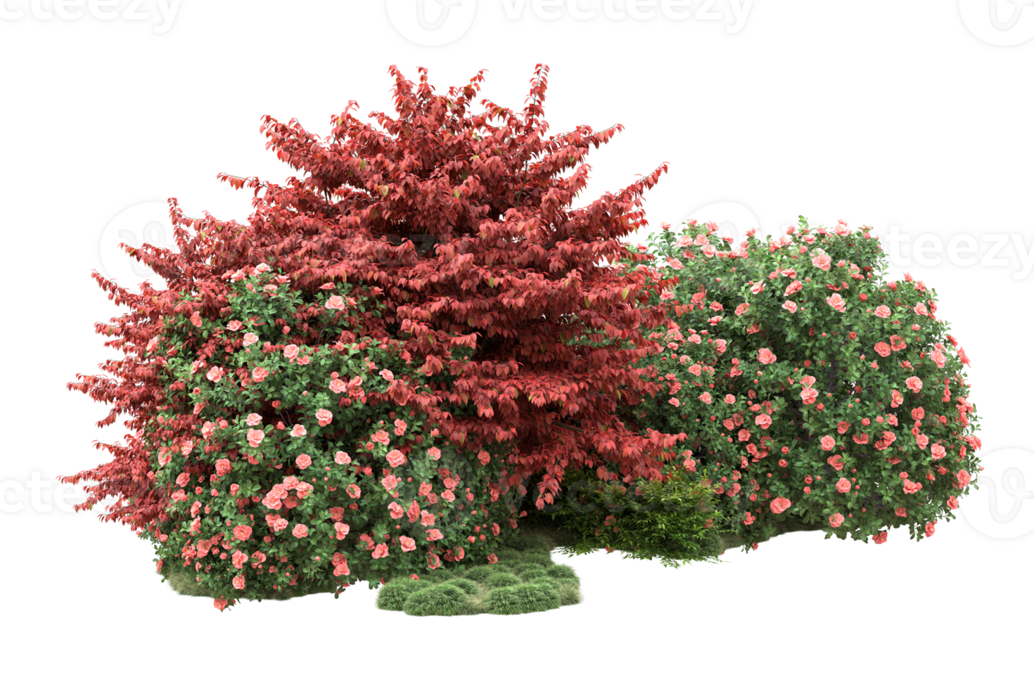 Realistic forest isolated on transparent background. 3d rendering - illustration png