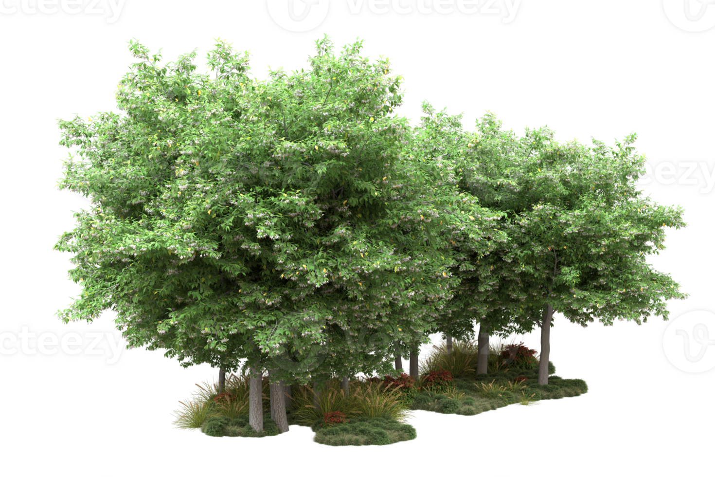 Realistic forest isolated on transparent background. 3d rendering - illustration png
