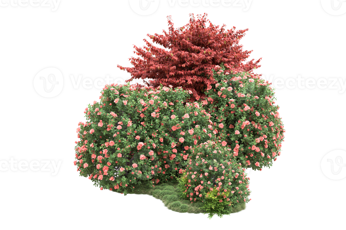 Realistic forest isolated on transparent background. 3d rendering - illustration png