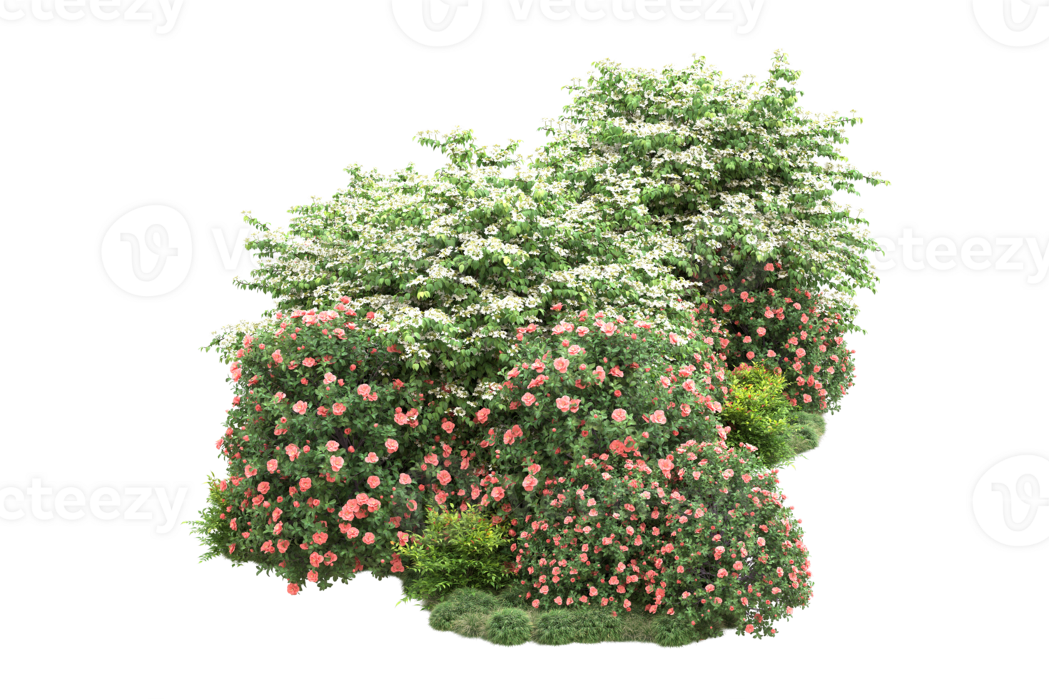 Realistic forest isolated on transparent background. 3d rendering - illustration png