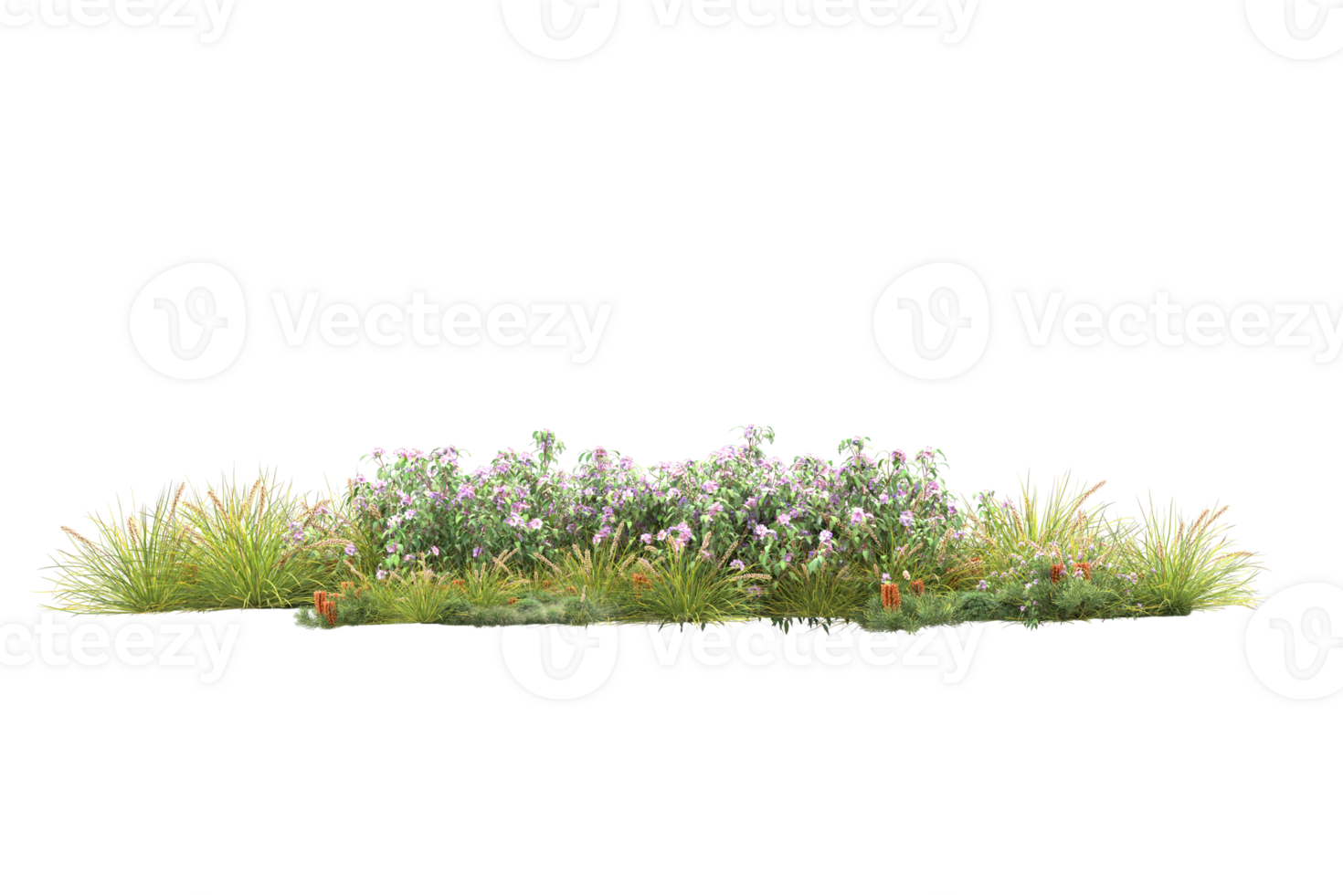 Realistic forest isolated on transparent background. 3d rendering - illustration png