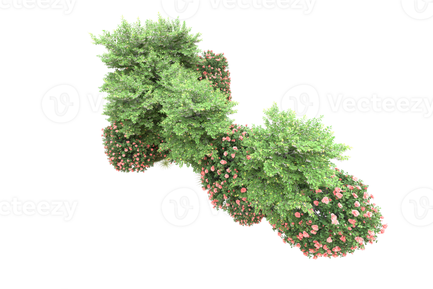 Realistic forest isolated on transparent background. 3d rendering - illustration png