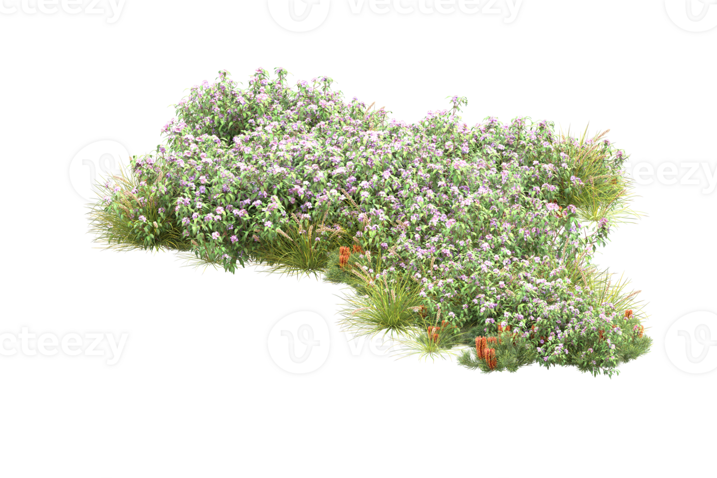 Realistic forest isolated on transparent background. 3d rendering - illustration png
