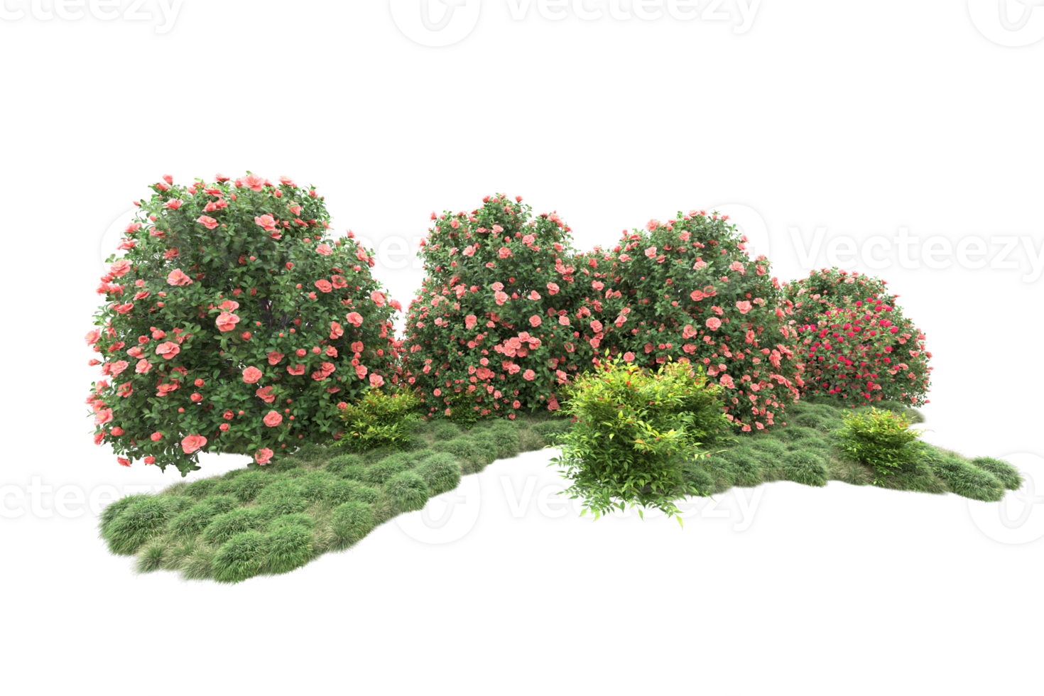 Realistic forest isolated on transparent background. 3d rendering - illustration png