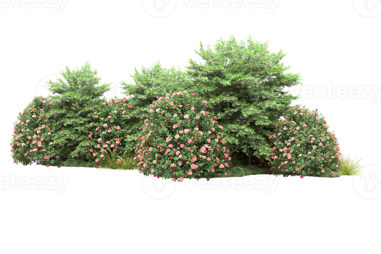 Realistic forest isolated on transparent background. 3d rendering - illustration png