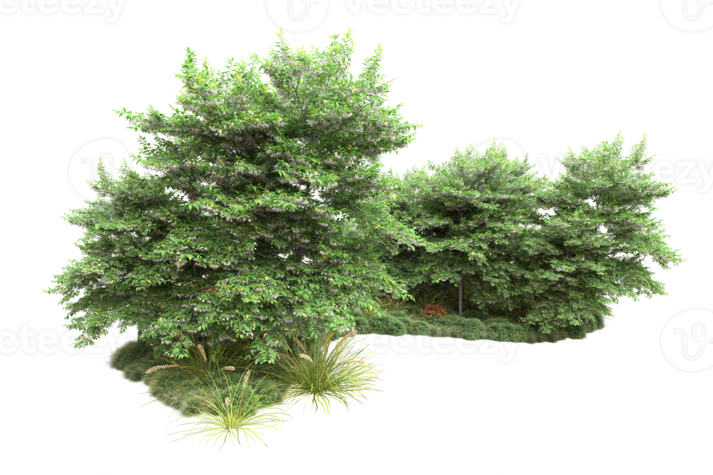 Realistic forest isolated on transparent background. 3d rendering - illustration png