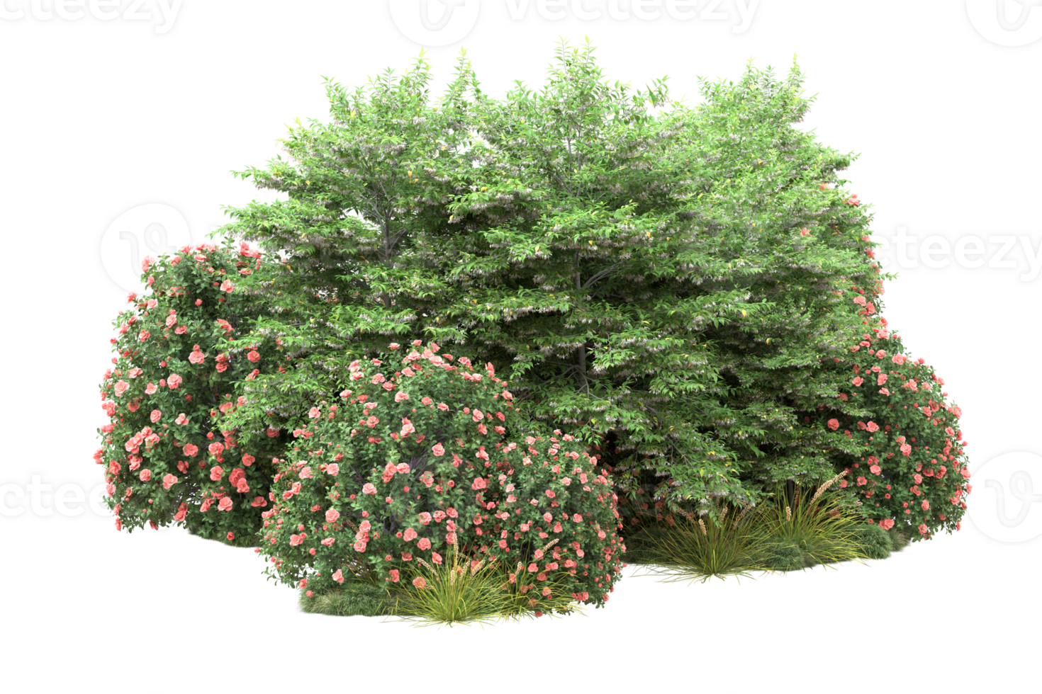 Realistic forest isolated on transparent background. 3d rendering - illustration png
