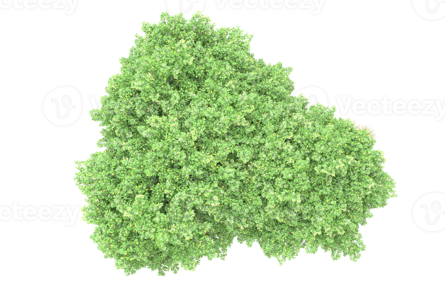 Realistic forest isolated on transparent background. 3d rendering - illustration png