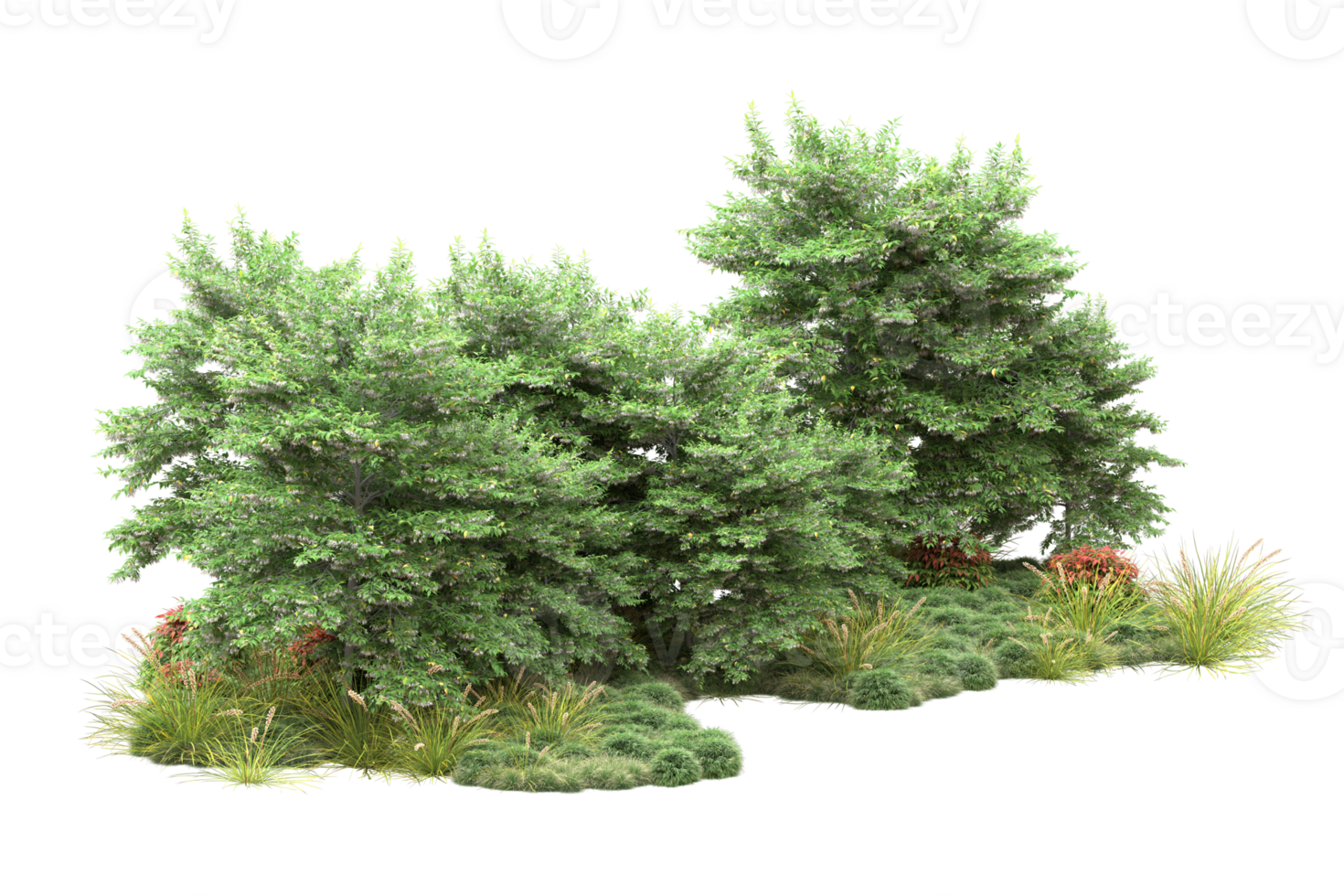 Realistic forest isolated on transparent background. 3d rendering - illustration png