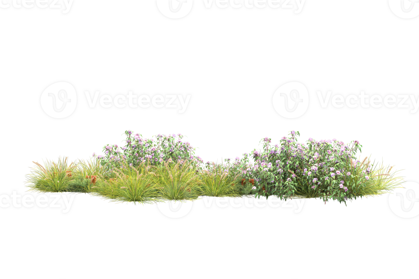 Realistic forest isolated on transparent background. 3d rendering - illustration png