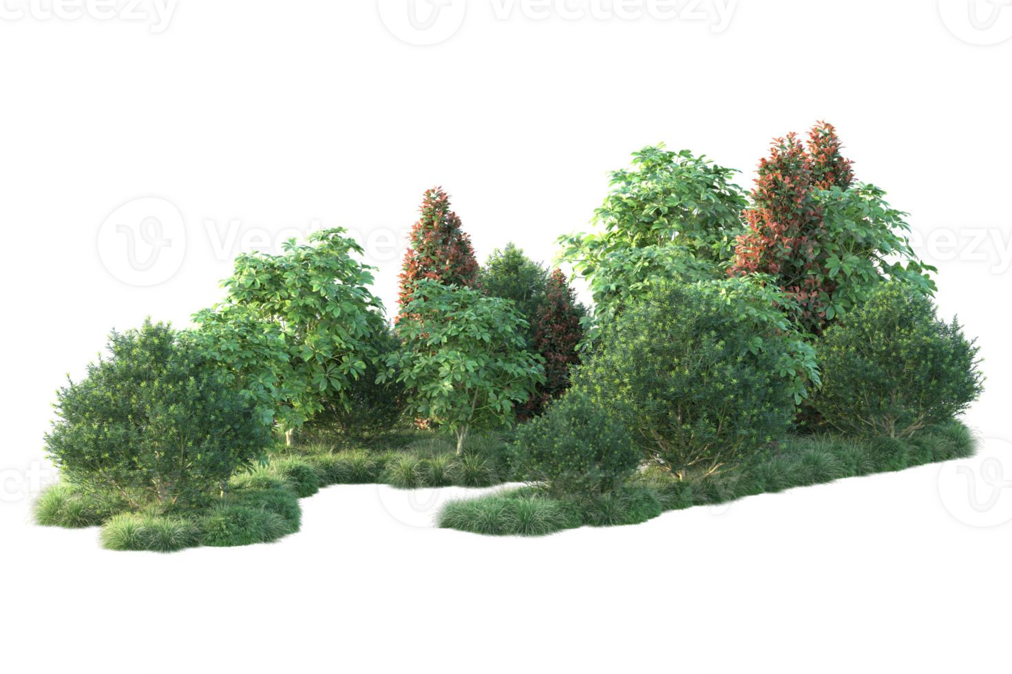 Realistic forest isolated on transparent background. 3d rendering - illustration png