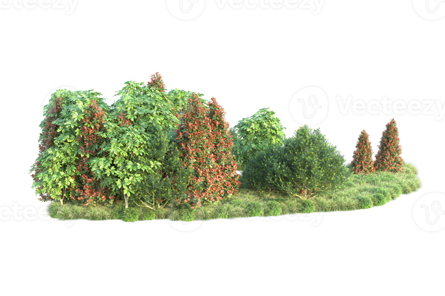 Realistic forest isolated on transparent background. 3d rendering - illustration png