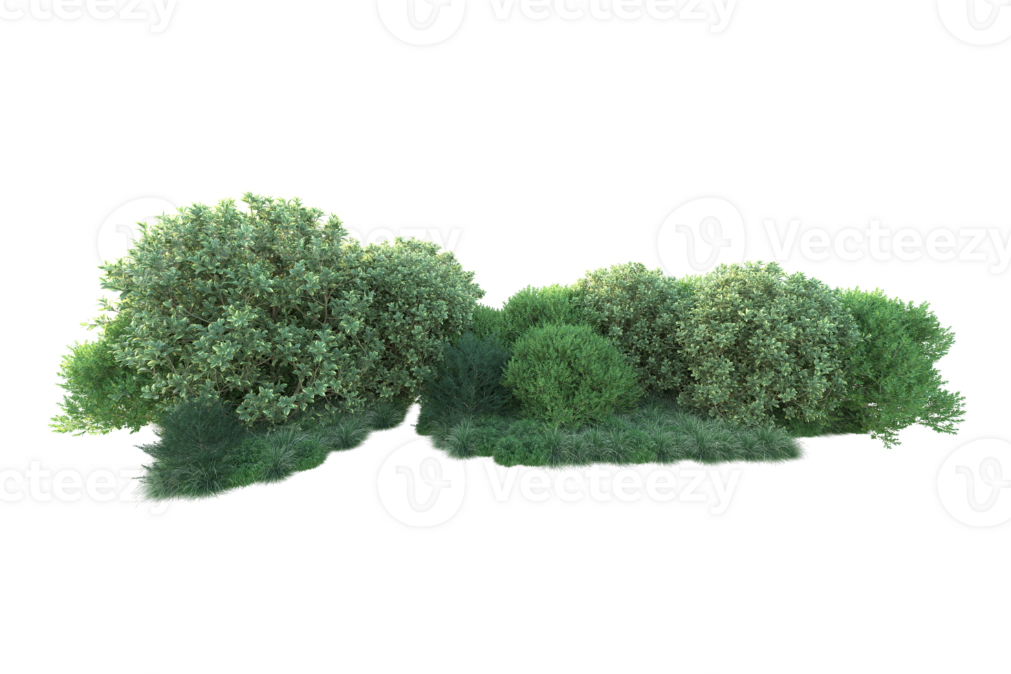 Realistic forest isolated on transparent background. 3d rendering - illustration png