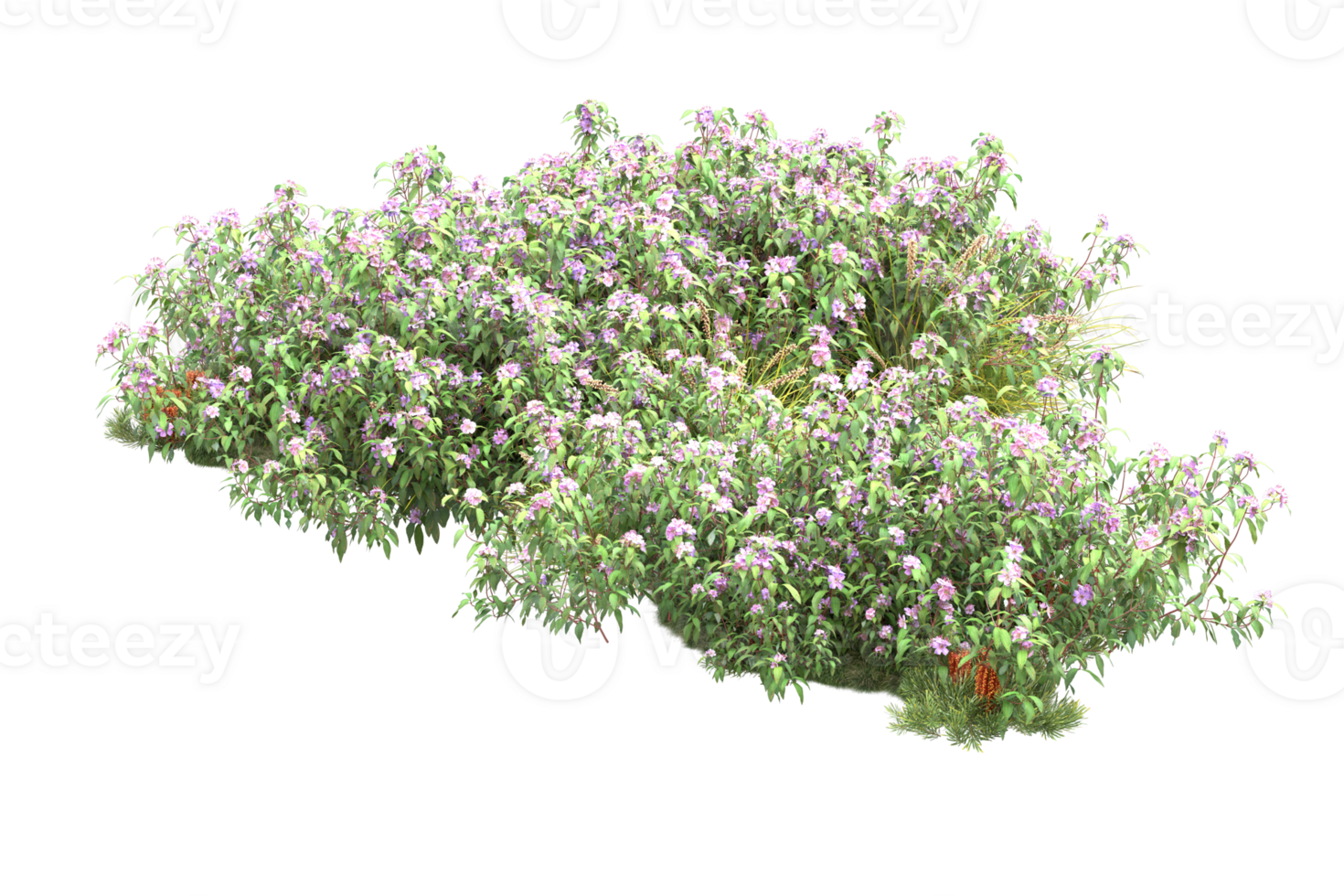 Realistic forest isolated on transparent background. 3d rendering - illustration png