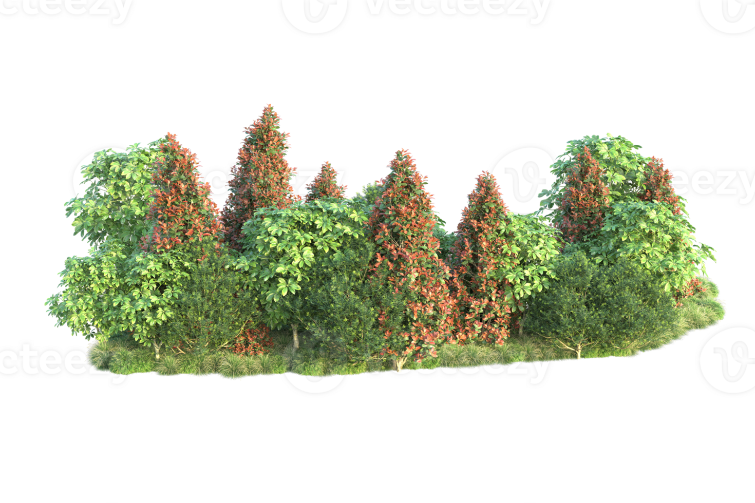 Realistic forest isolated on transparent background. 3d rendering - illustration png