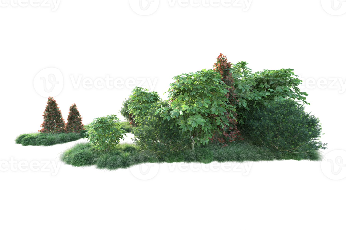 Realistic forest isolated on transparent background. 3d rendering - illustration png