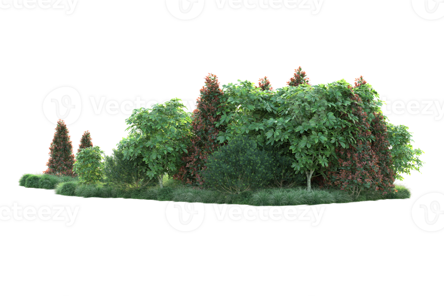 Realistic forest isolated on transparent background. 3d rendering - illustration png