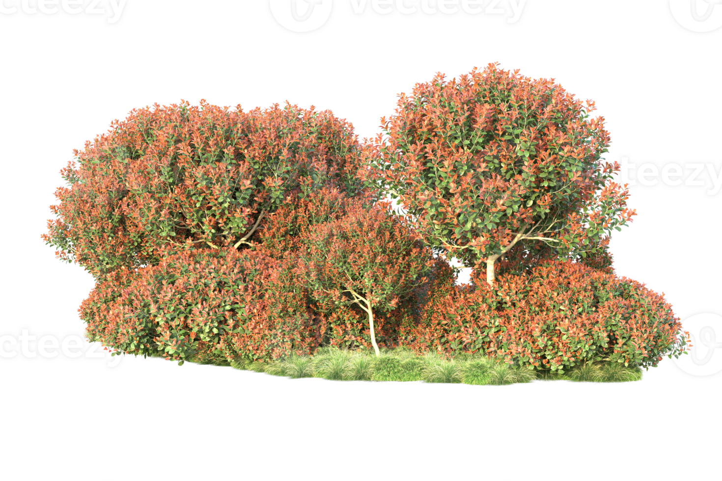 Realistic forest isolated on transparent background. 3d rendering - illustration png