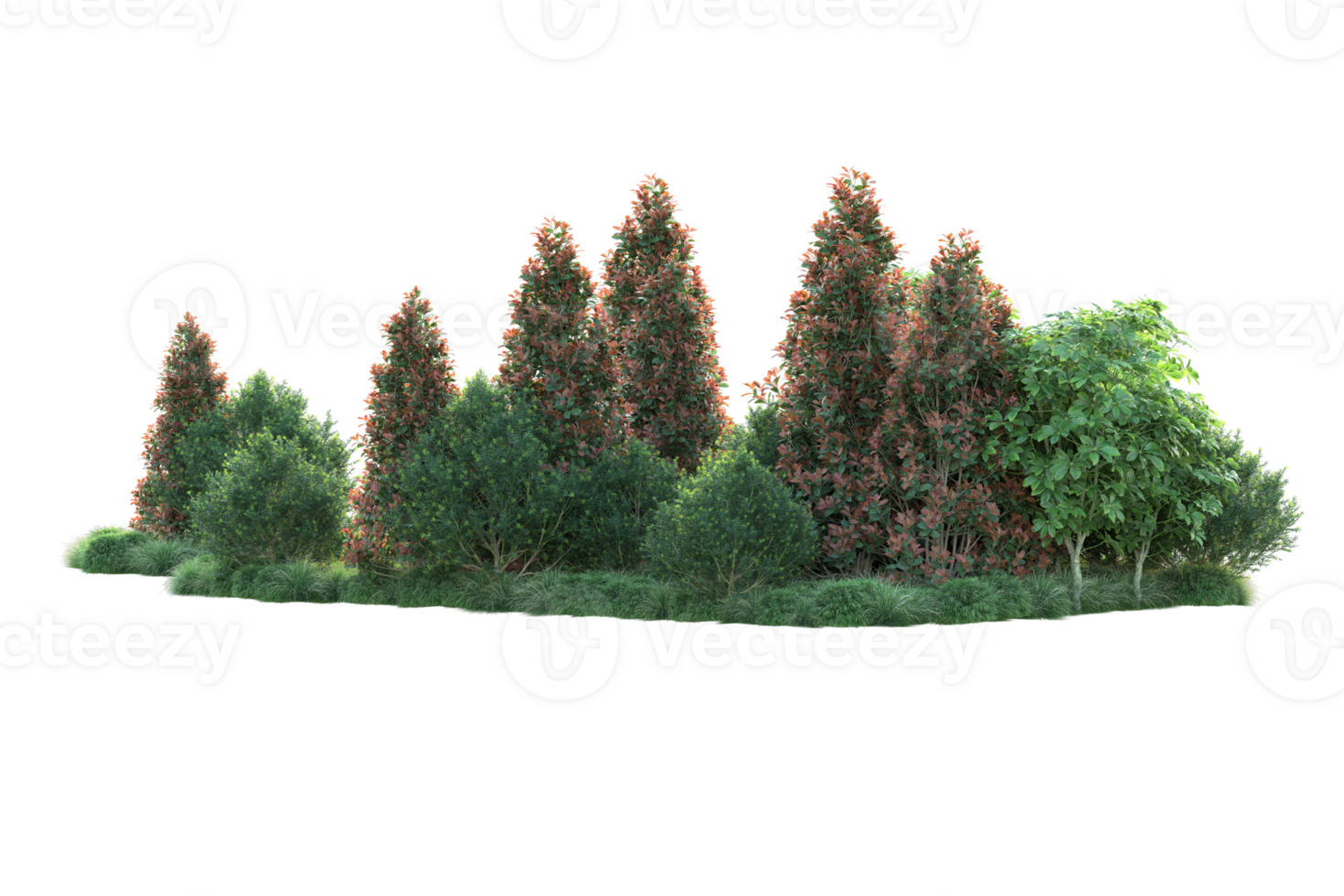 Realistic forest isolated on transparent background. 3d rendering - illustration png