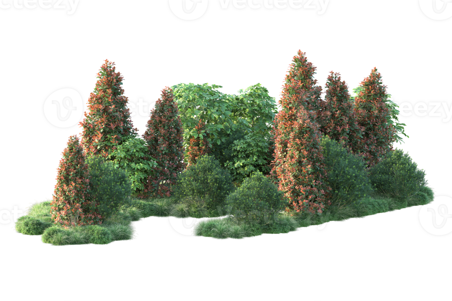 Realistic forest isolated on transparent background. 3d rendering - illustration png