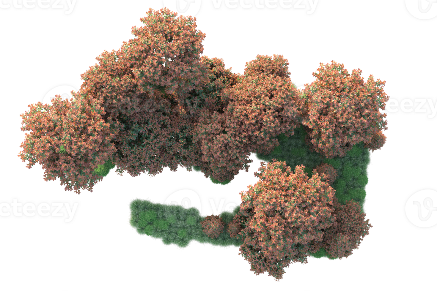Realistic forest isolated on transparent background. 3d rendering - illustration png
