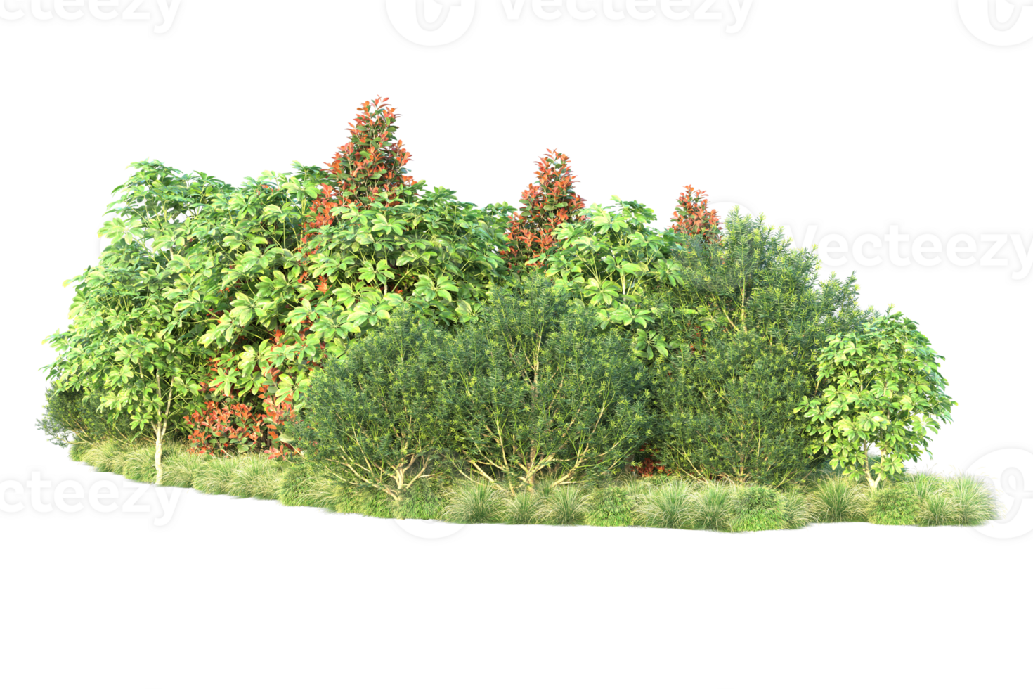 Realistic forest isolated on transparent background. 3d rendering - illustration png