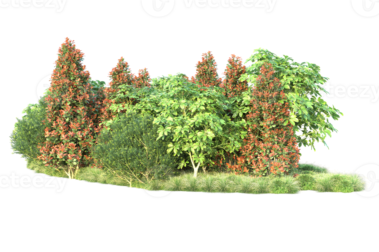 Realistic forest isolated on transparent background. 3d rendering - illustration png
