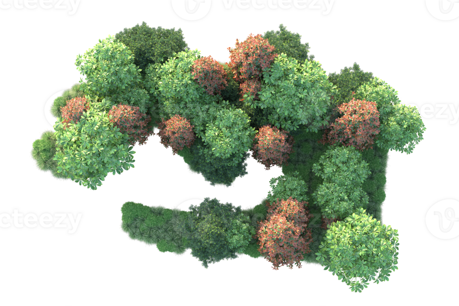 Realistic forest isolated on transparent background. 3d rendering - illustration png