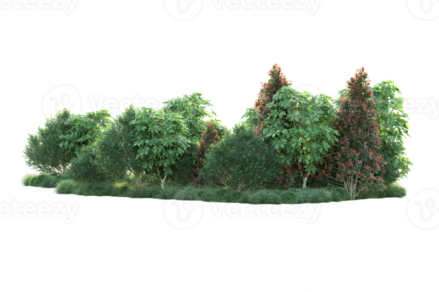 Realistic forest isolated on transparent background. 3d rendering - illustration png