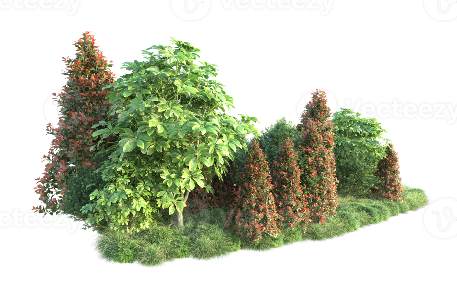 Realistic forest isolated on transparent background. 3d rendering - illustration png