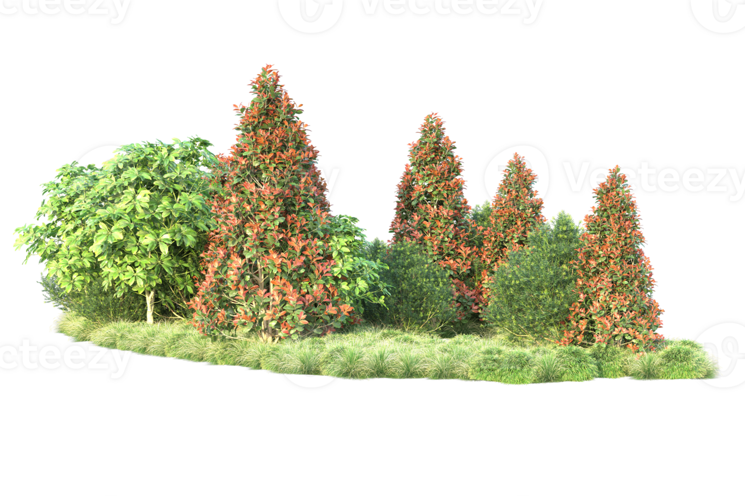 Realistic forest isolated on transparent background. 3d rendering - illustration png