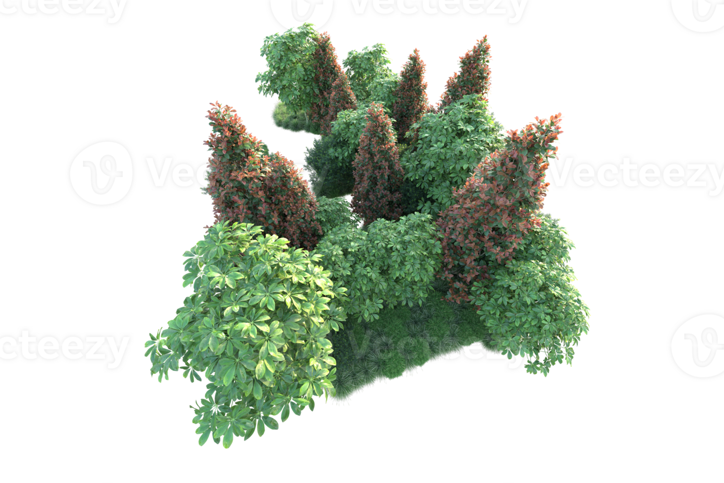 Realistic forest isolated on transparent background. 3d rendering - illustration png