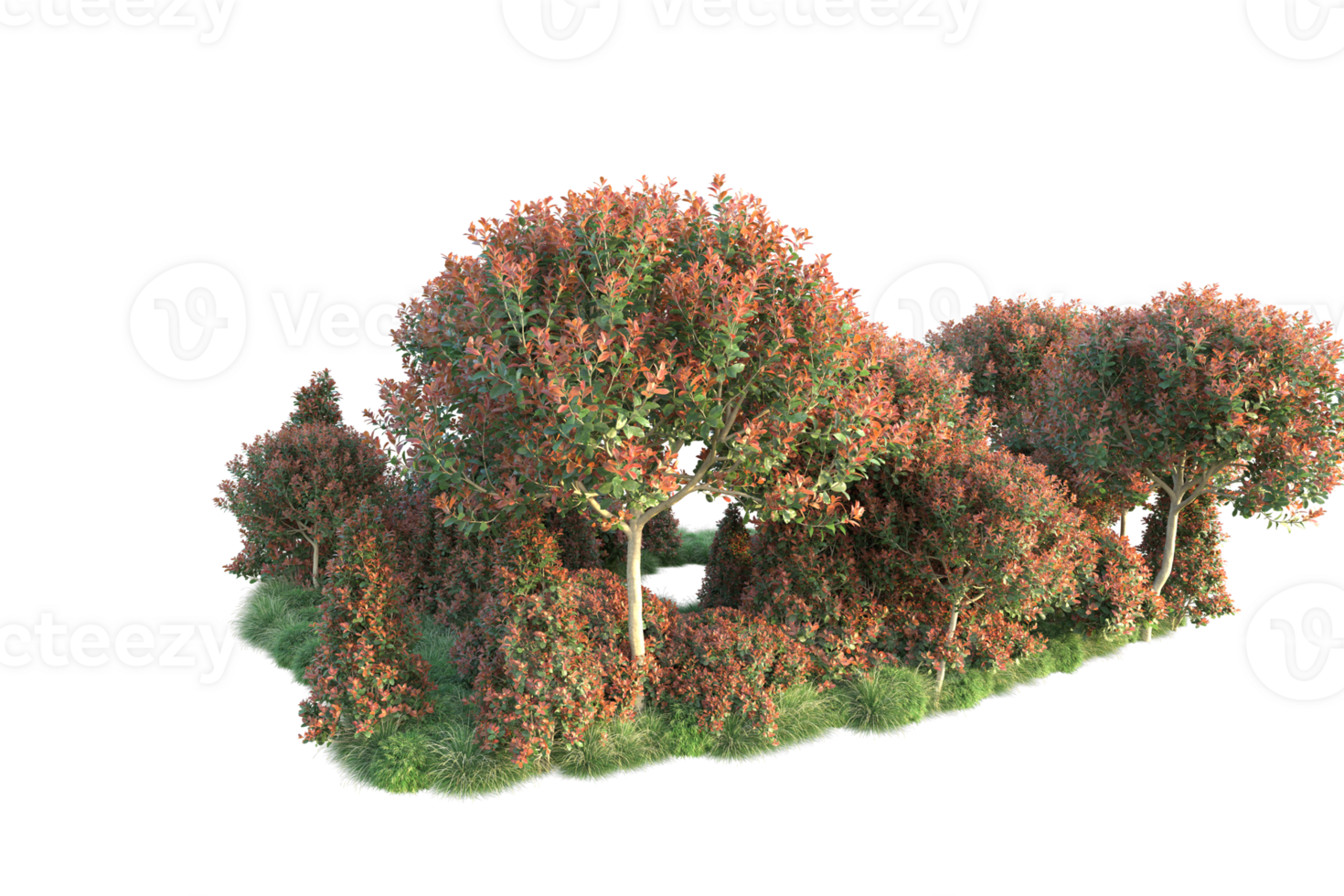 Realistic forest isolated on transparent background. 3d rendering - illustration png