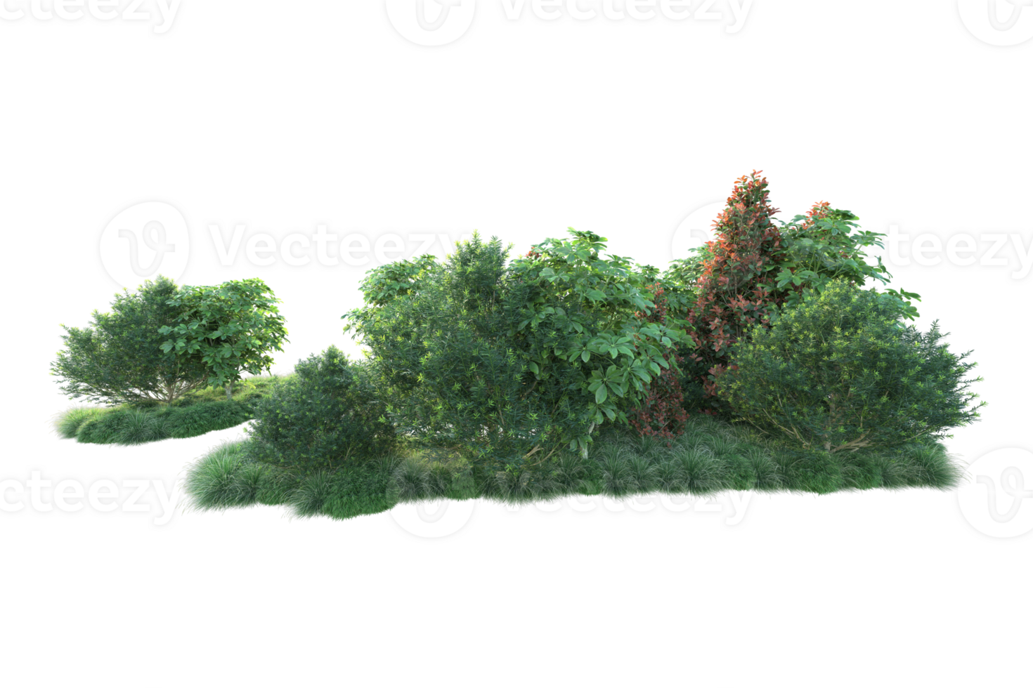 Realistic forest isolated on transparent background. 3d rendering - illustration png
