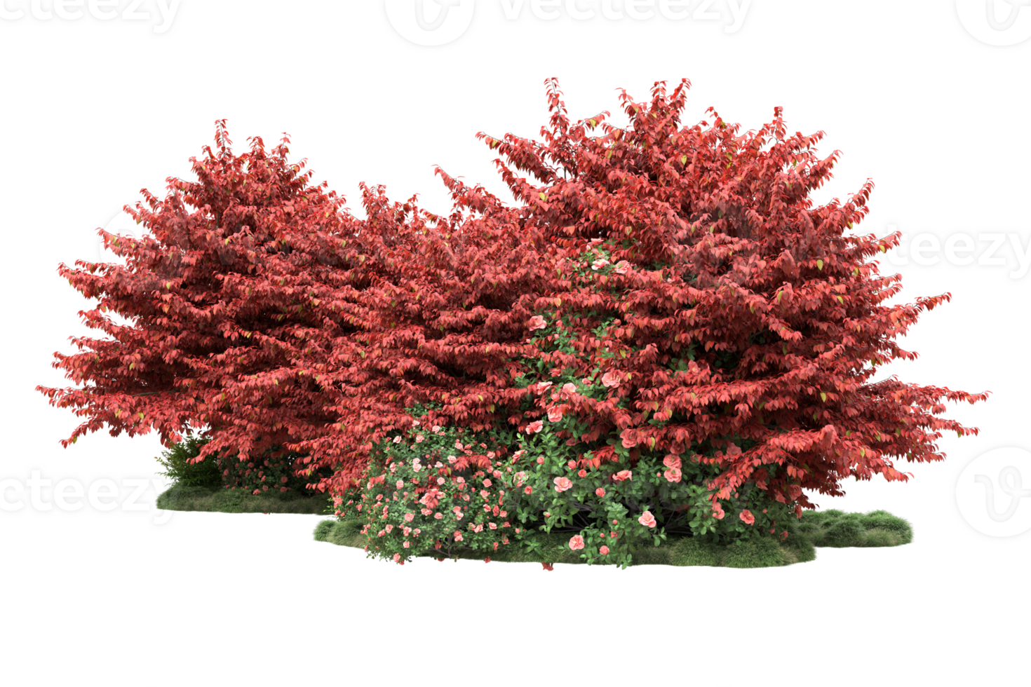 Realistic forest isolated on transparent background. 3d rendering - illustration png