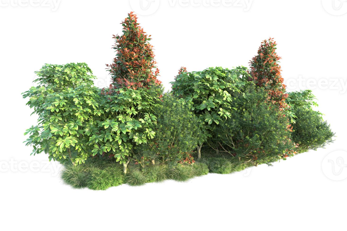 Realistic forest isolated on transparent background. 3d rendering - illustration png