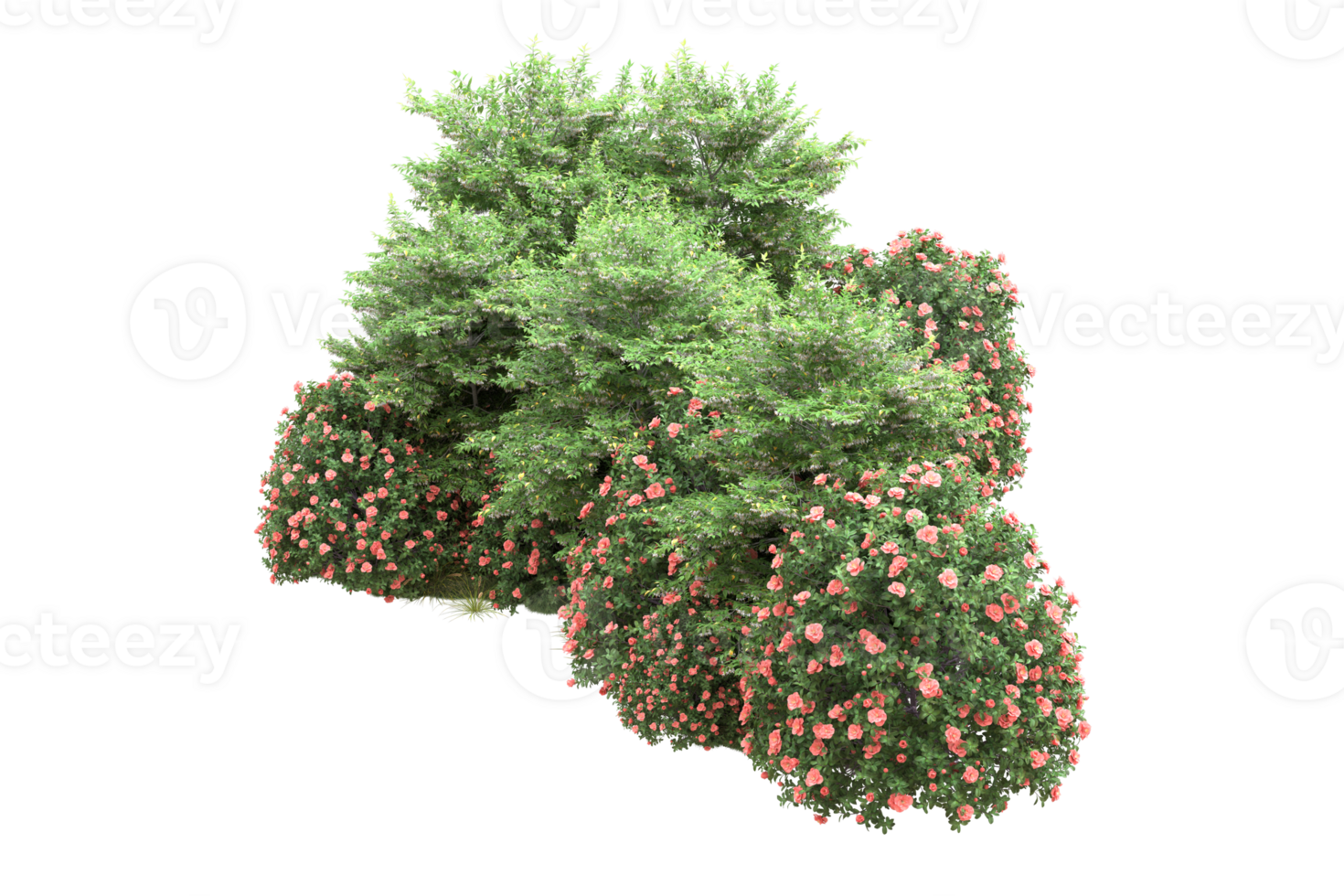 Realistic forest isolated on transparent background. 3d rendering - illustration png