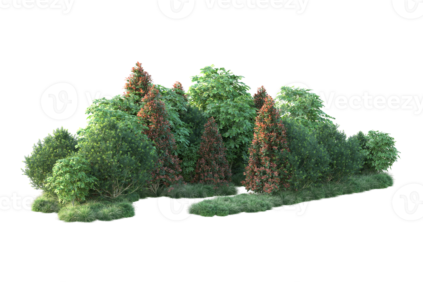 Realistic forest isolated on transparent background. 3d rendering - illustration png