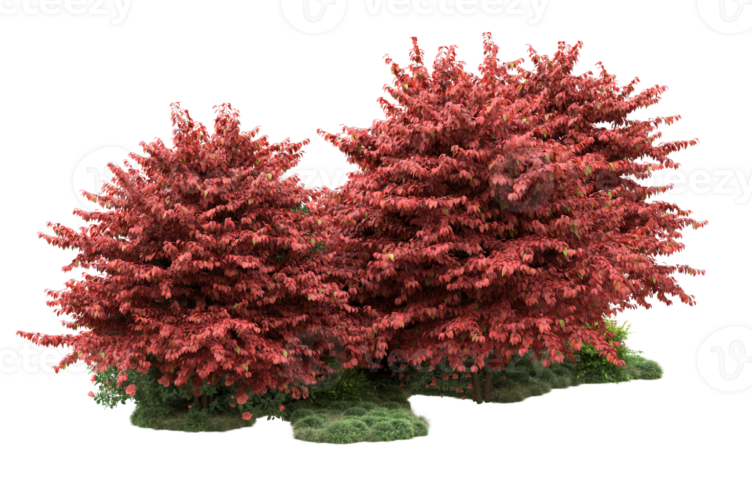 Realistic forest isolated on transparent background. 3d rendering - illustration png