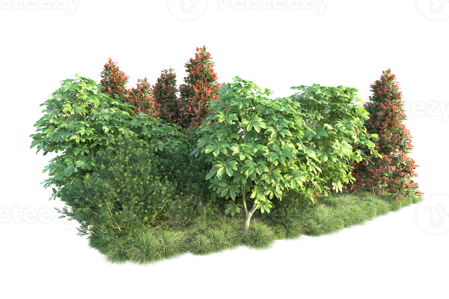Realistic forest isolated on transparent background. 3d rendering - illustration png