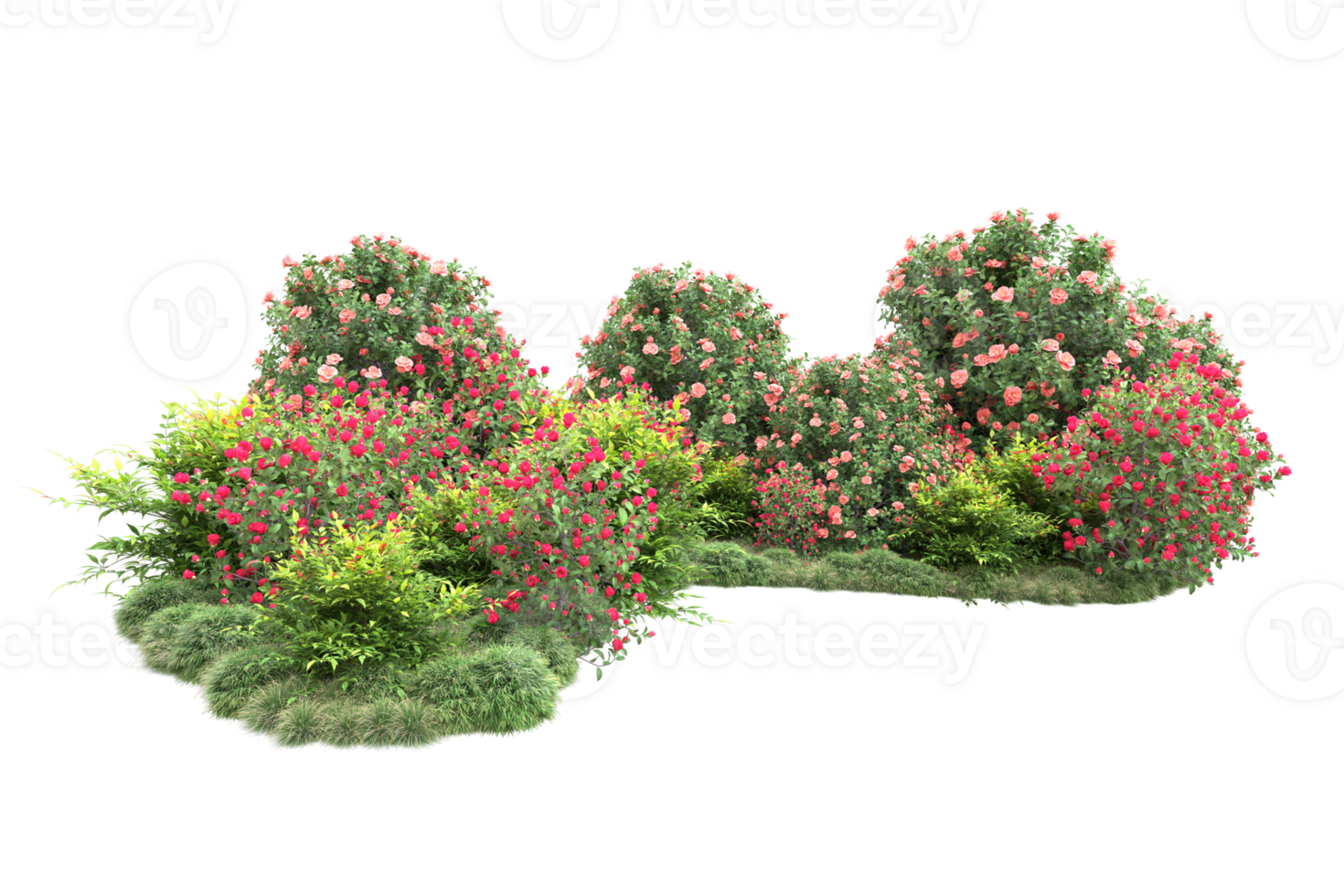 Realistic forest isolated on transparent background. 3d rendering - illustration png