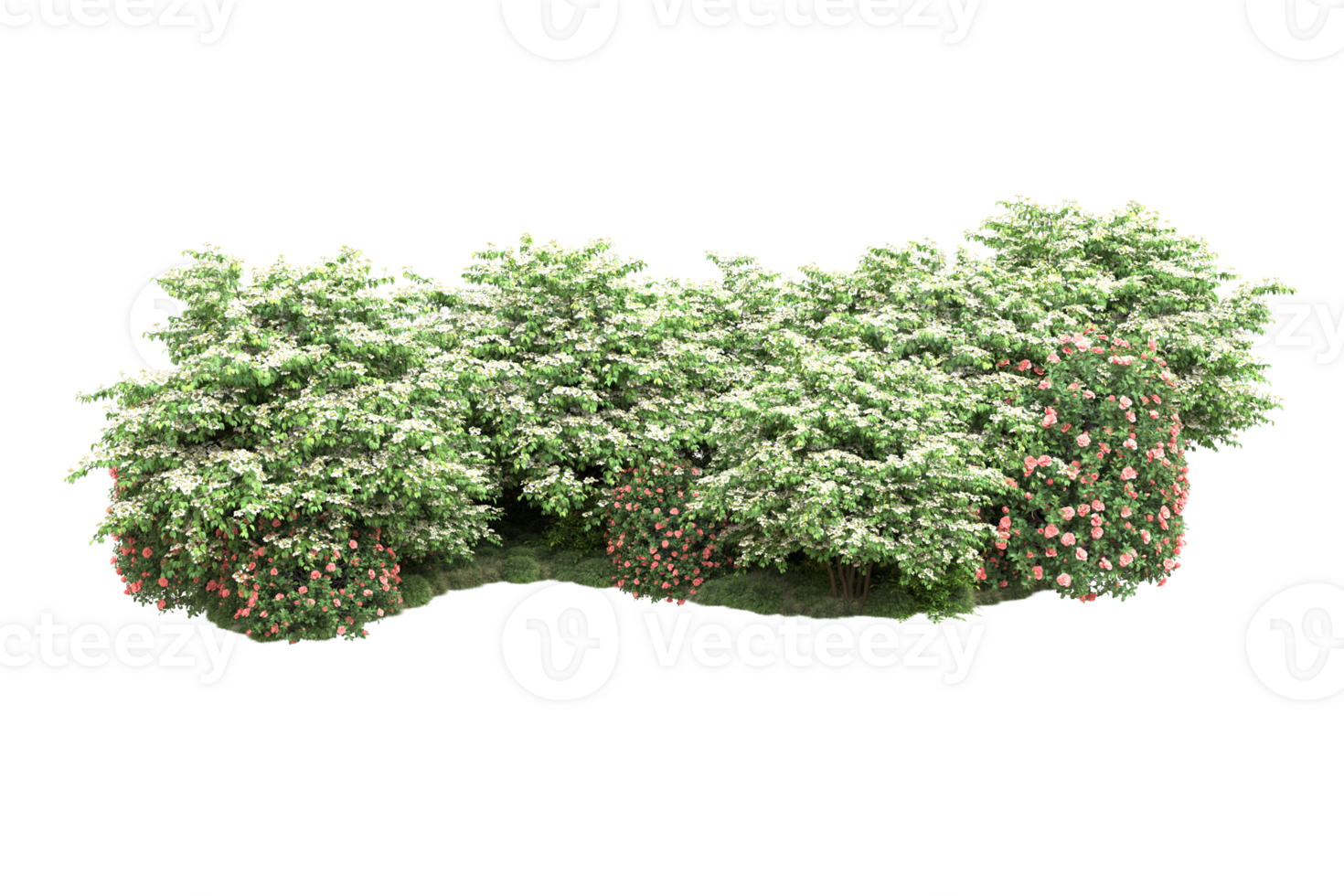 Realistic forest isolated on transparent background. 3d rendering - illustration png