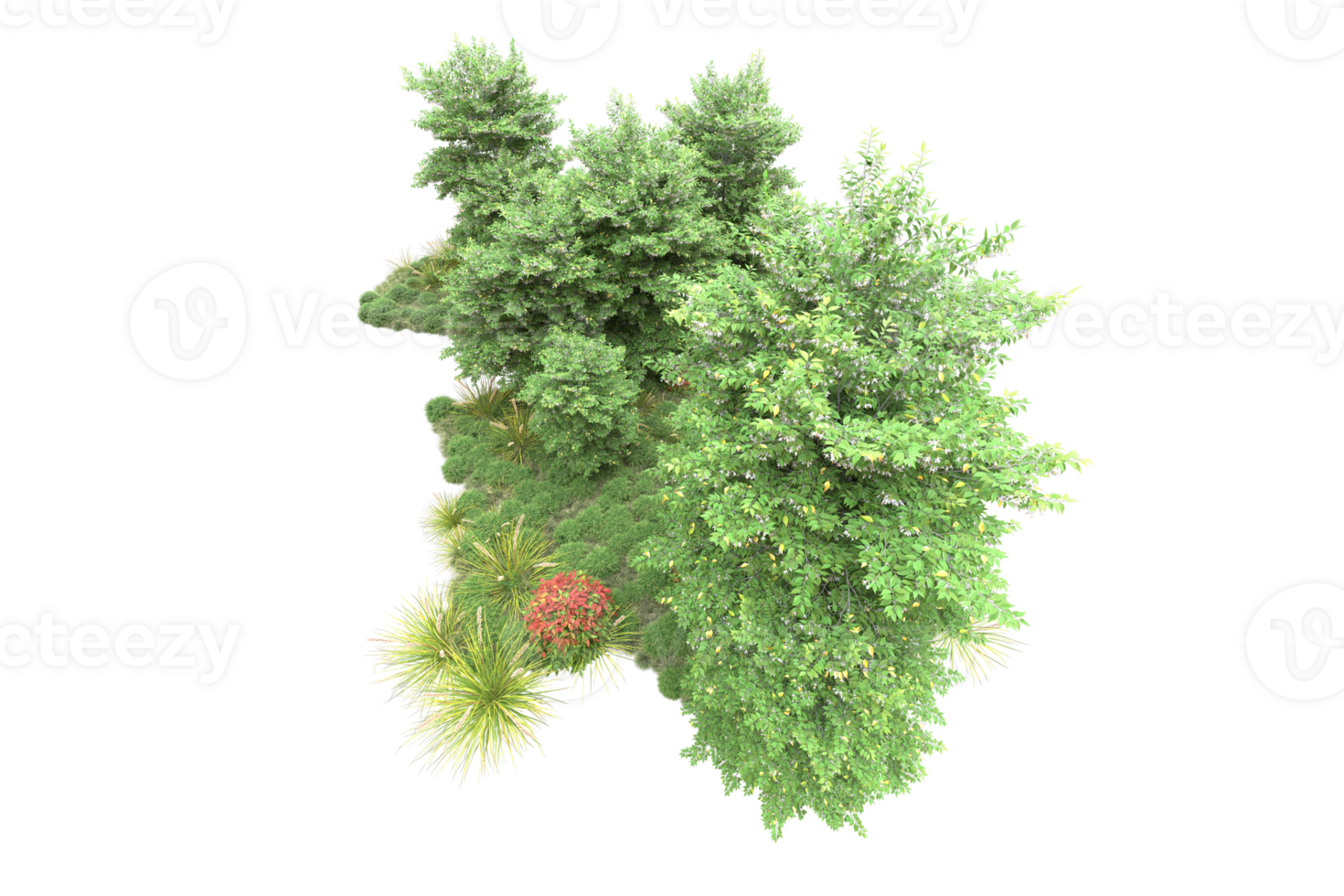 Realistic forest isolated on transparent background. 3d rendering - illustration png