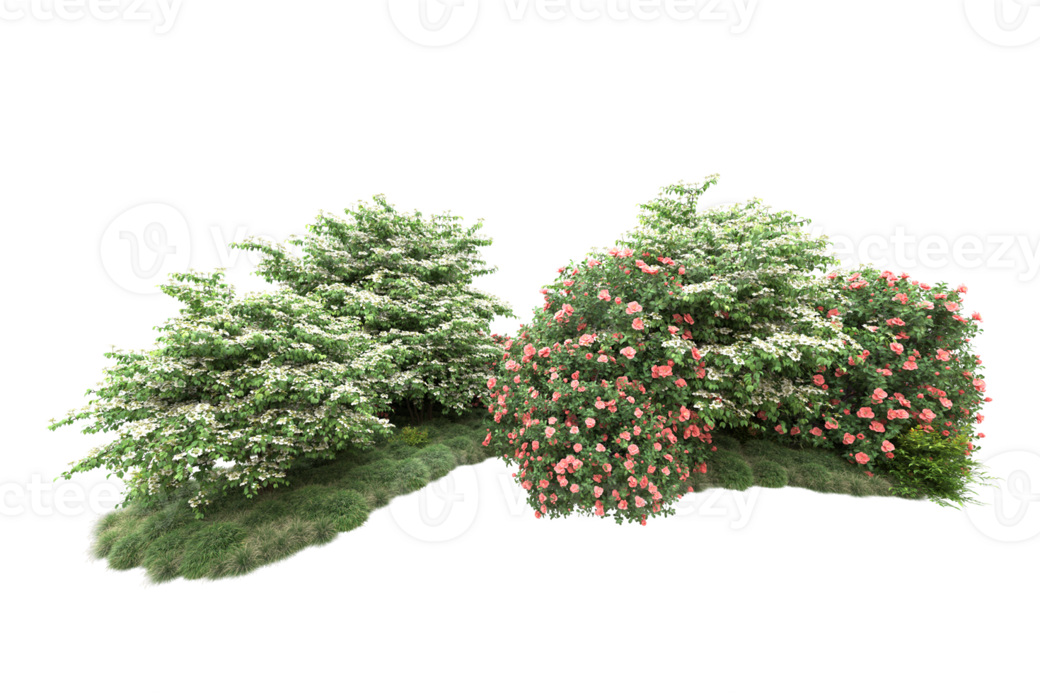 Realistic forest isolated on transparent background. 3d rendering - illustration png