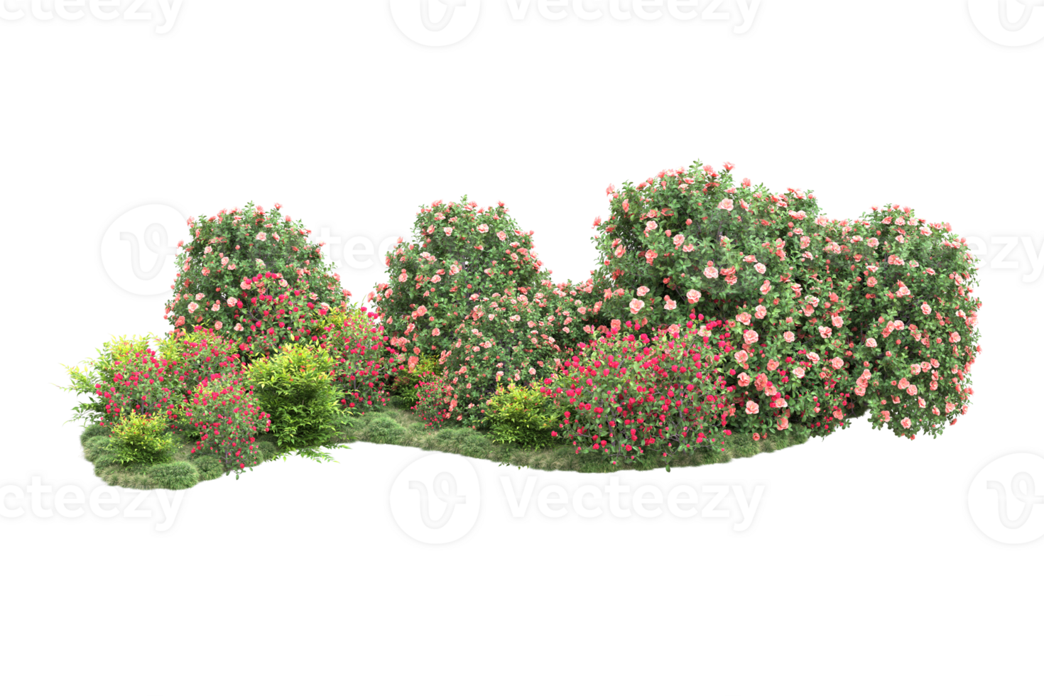 Realistic forest isolated on transparent background. 3d rendering - illustration png